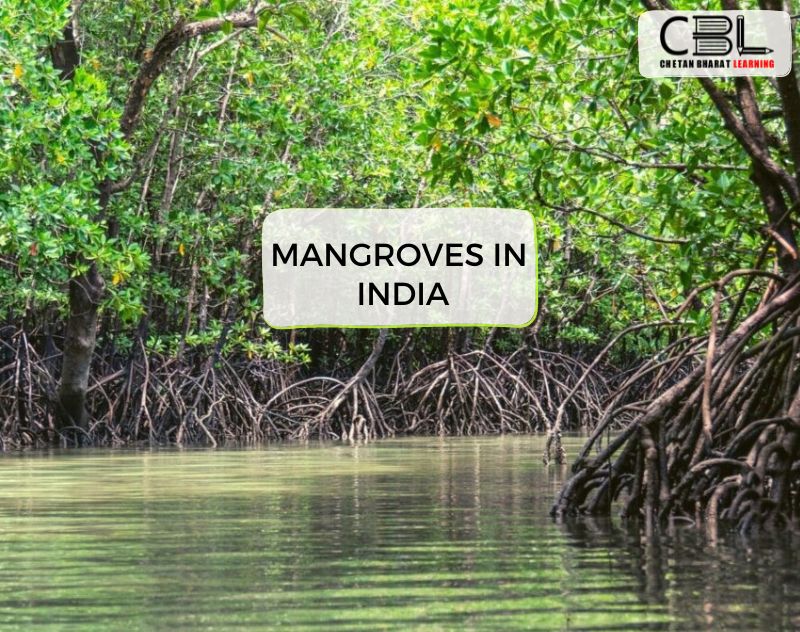 Mangroves in India 