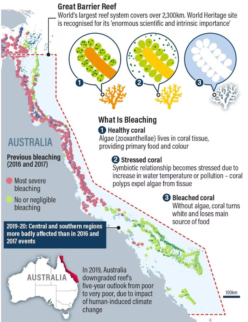 coral bleaching of the Great Barrier Reef