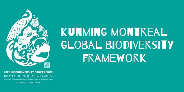 Kunming-Montreal Global Biodiversity Framework 