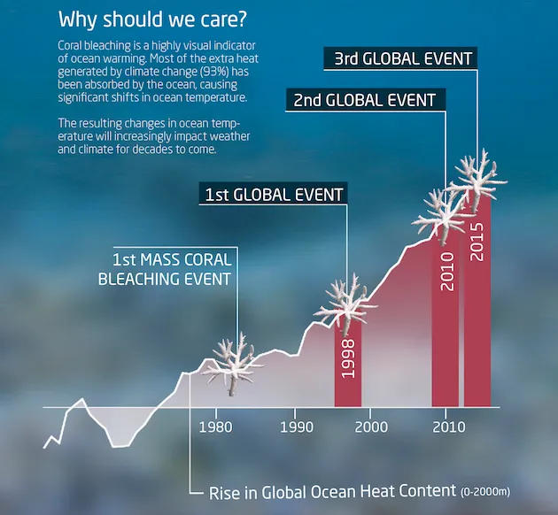 the global mass coral bleaching event