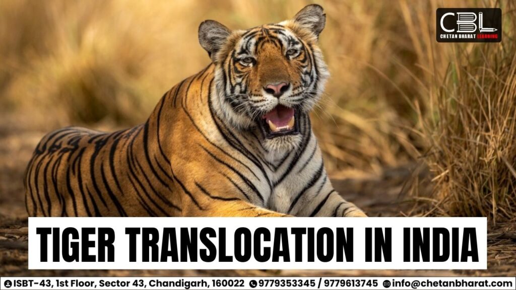 Tiger Translocation in India
