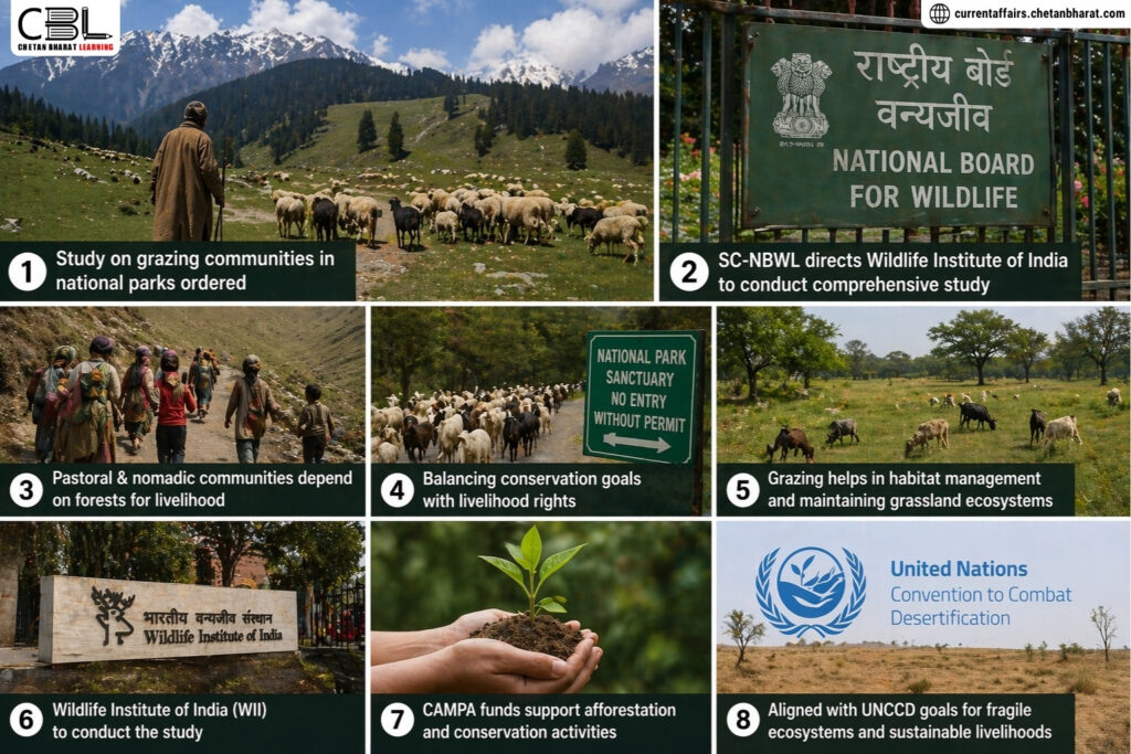 Grazing communities in national parks India pastoralists transhumance conservation vs livelihood conflict grassland ecosystem