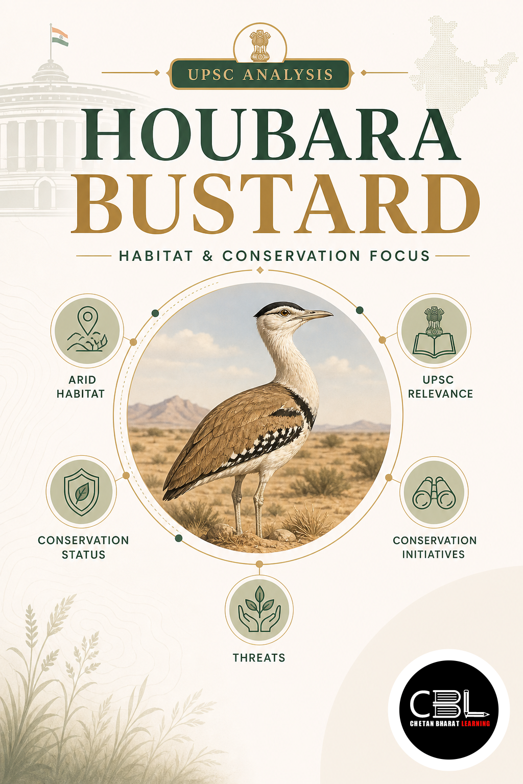 Houbara Bustard: UPSC Analysis, Habitat & Conservation