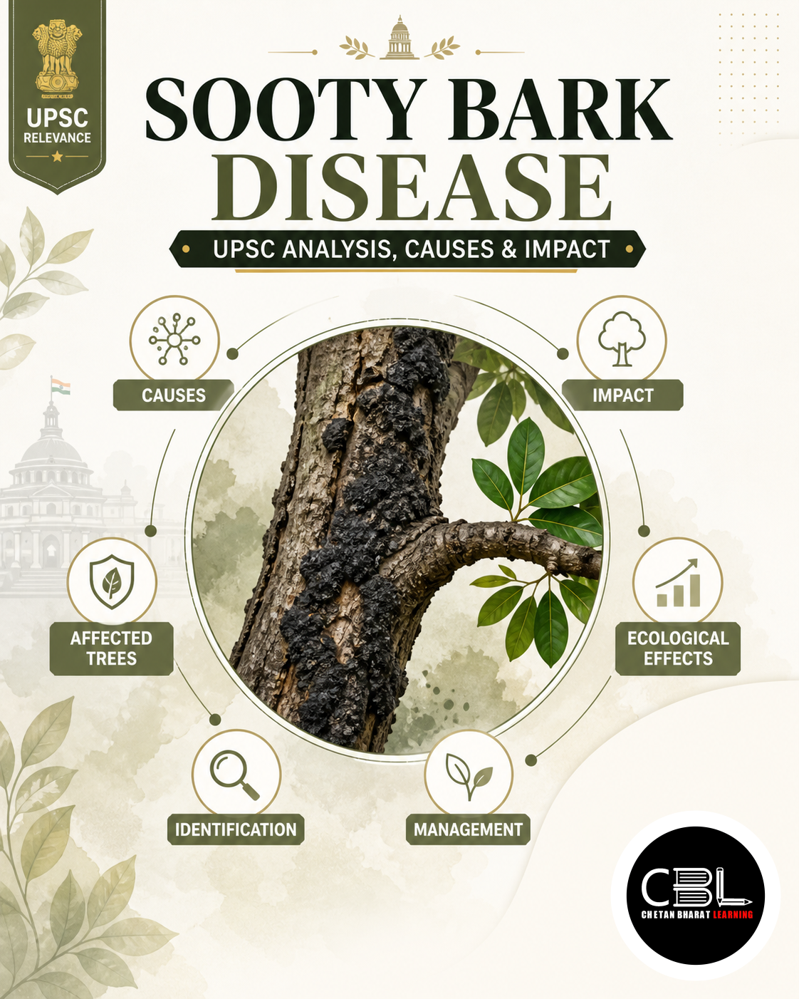Sooty Bark Disease: UPSC Analysis, Causes & Impact