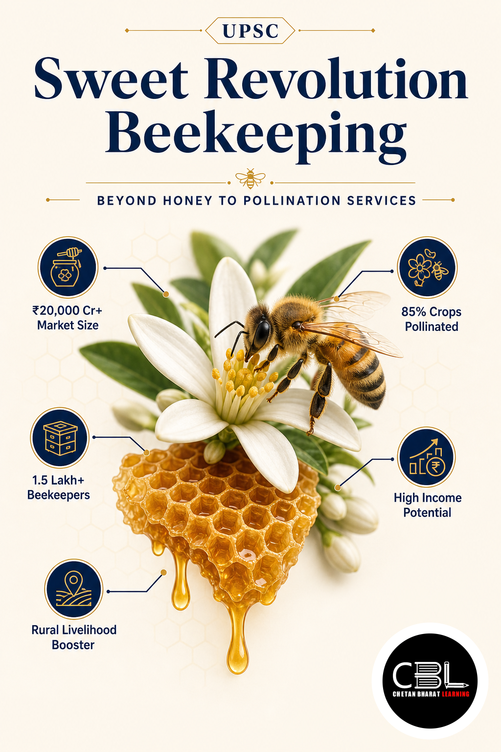Sweet Revolution Beekeeping: Beyond Honey to Pollination Services