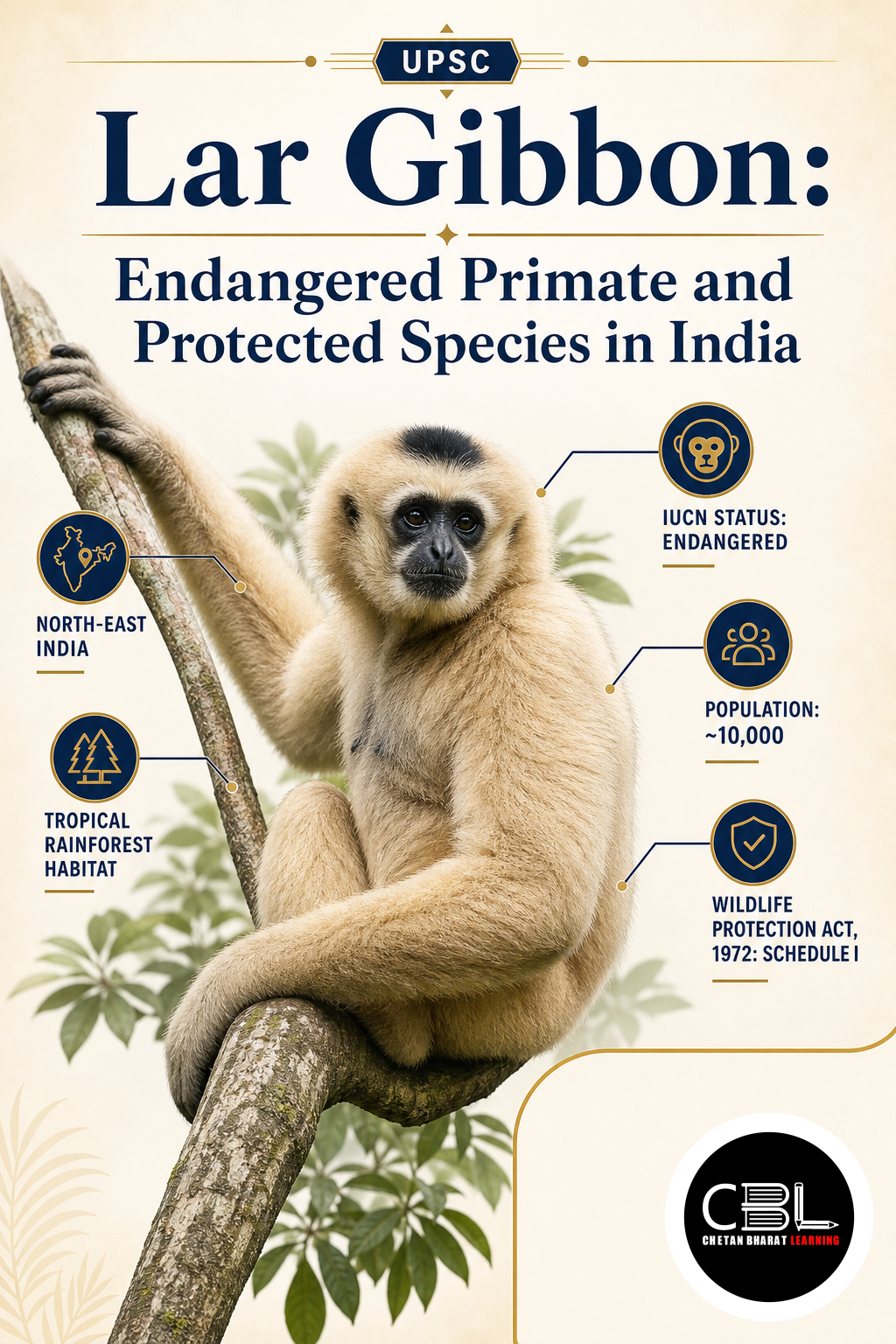 Lar Gibbon: Endangered Primate and Protected Species in India