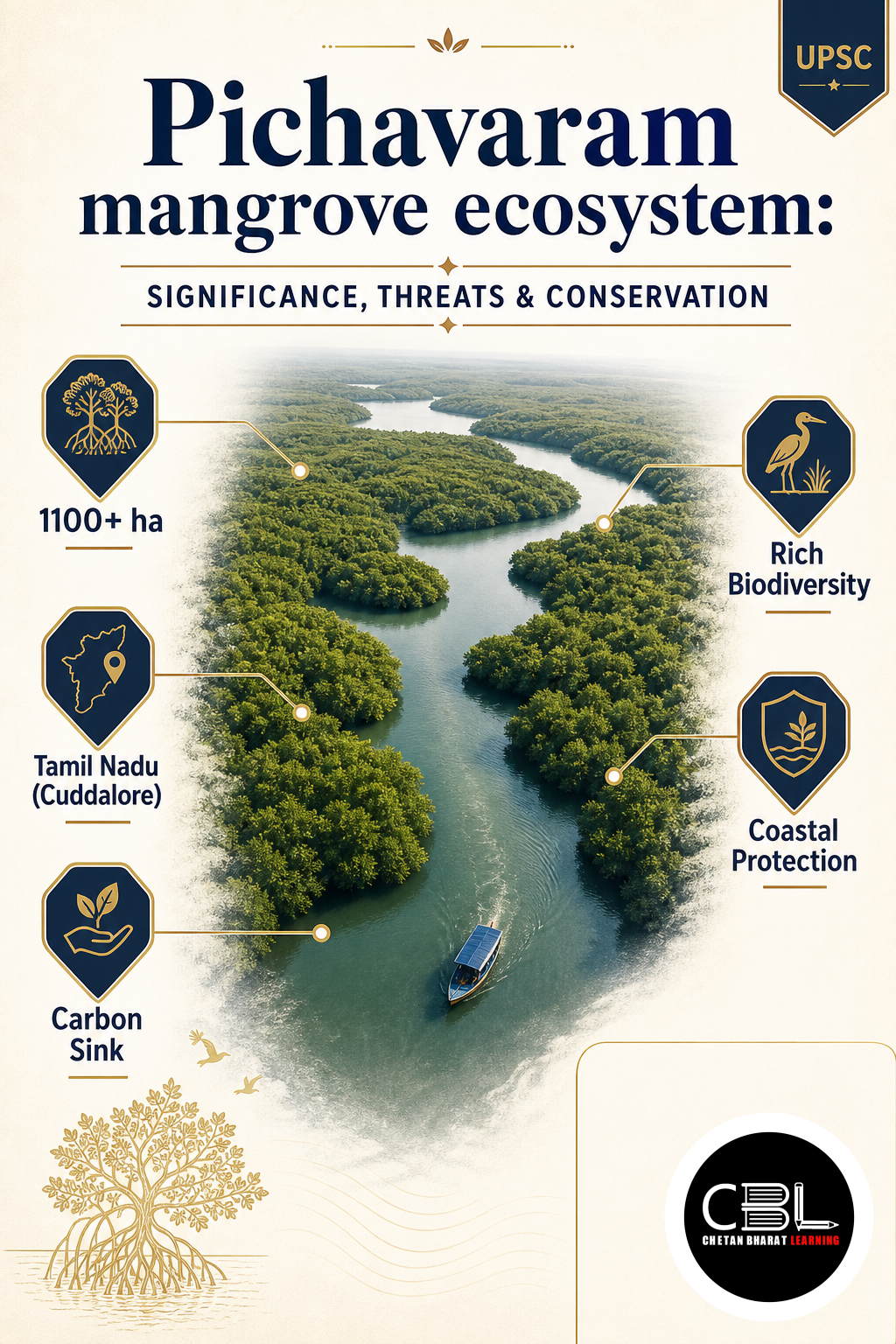 Pichavaram Mangrove Ecosystem: Significance, Threats & Conservation