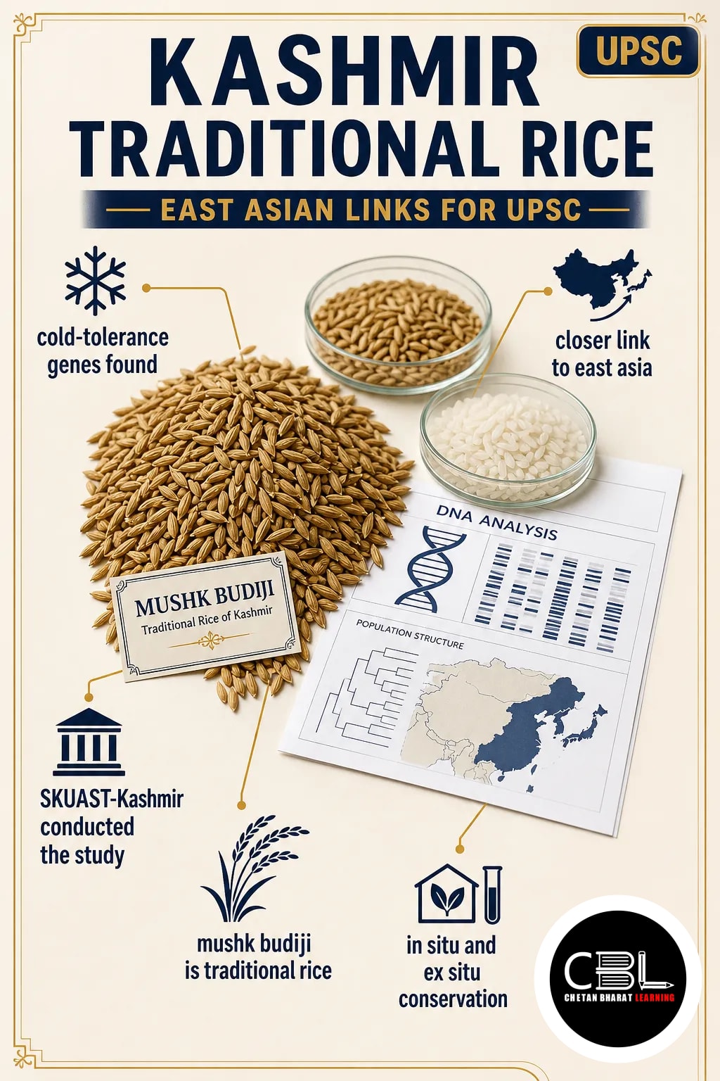 Kashmir Traditional Rice: East Asian Links for UPSC